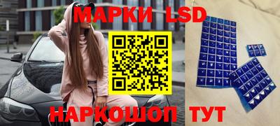 прущие грибы Гусев